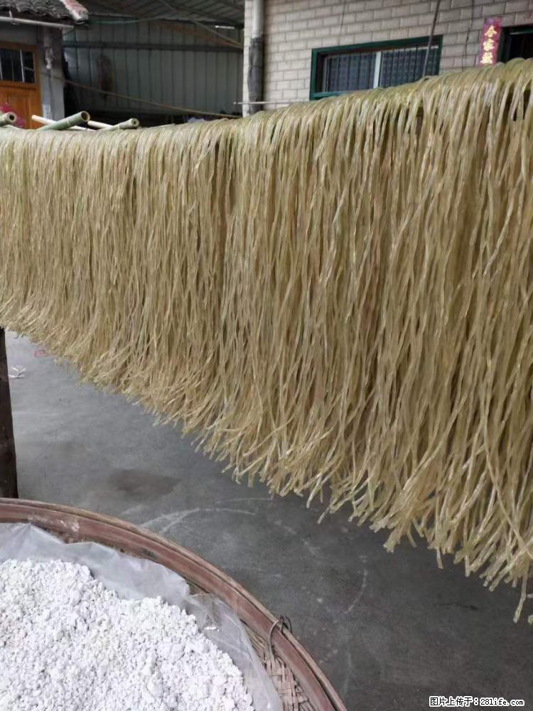 【灌阳正宗红薯粉】美女家里自己做的，干净卫生，假一赔十，价格合理，抢购电话：13737312895 - 美食天地 - 海北生活社区 - 海北28生活网 haibei.28life.com