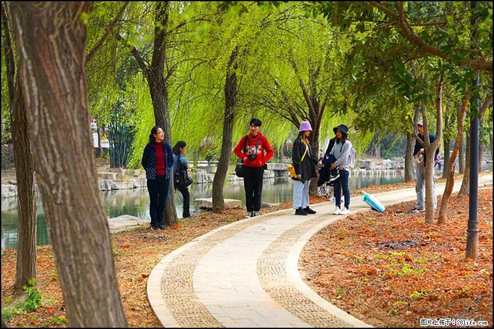 【春天,广西桂林灌阳县向您发出邀请!】江口老街又逢春 - 游山玩水 - 海北生活社区 - 海北28生活网 haibei.28life.com