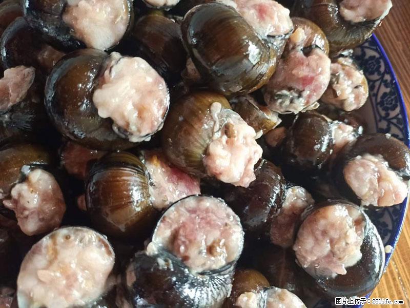 (舌尖上的乡村)灌阳:让人口齿留香的田螺酿 - 2023年07月31日 桂林日报第6版刊发 - 美食天地 - 海北生活社区 - 海北28生活网 haibei.28life.com