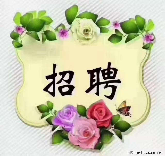 【招聘】住家育儿嫂，上户日期：4月4日，工作地址：上海 黄浦区 - 职场交流 - 海北生活社区 - 海北28生活网 haibei.28life.com