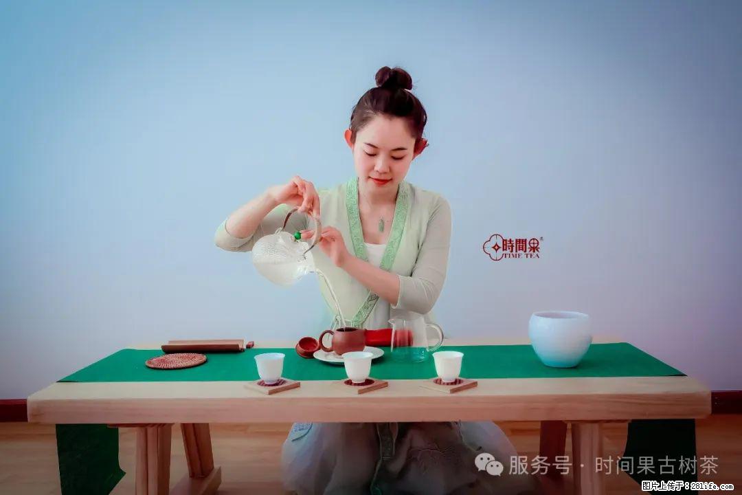 时间果百年古树龙珠普洱生茶 - 购物交流 - 海北生活社区 - 海北28生活网 haibei.28life.com