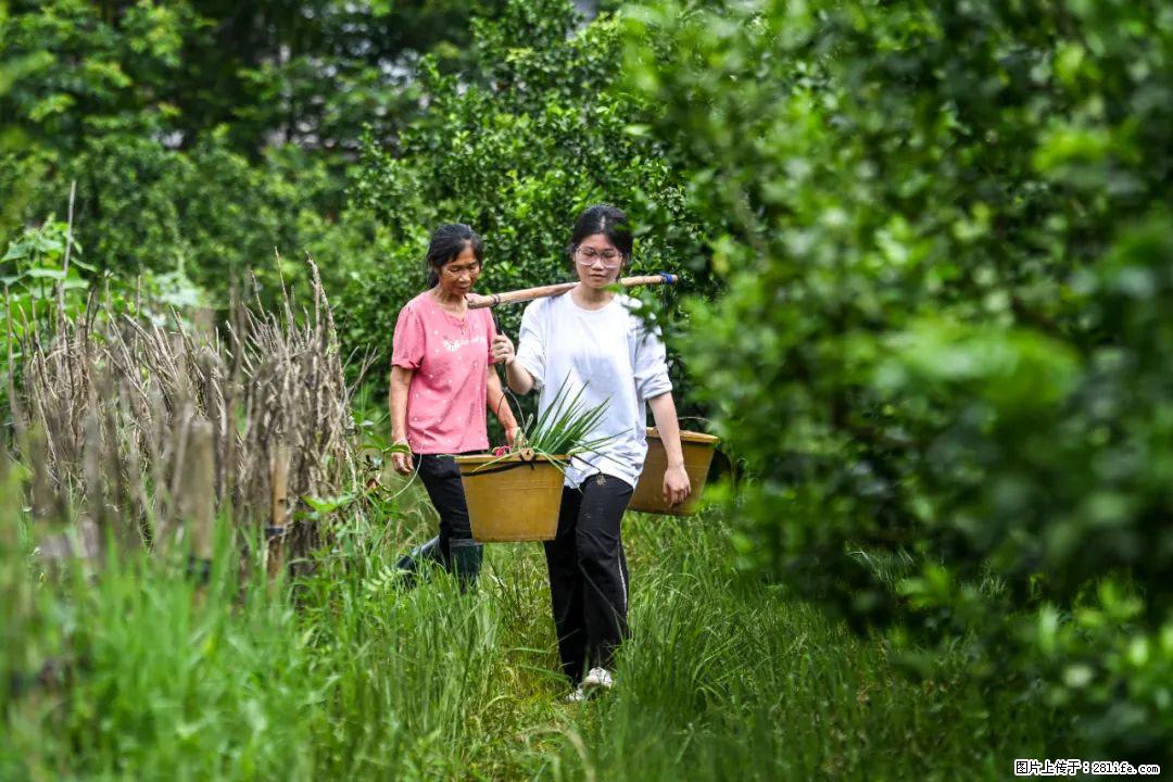 全网追的“扁担女孩”，找了一份暑假工，时薪12元 - 海北生活资讯 - 海北28生活网 haibei.28life.com