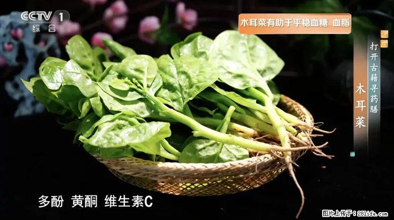 比牛奶补钙还厉害！凉血解毒、稳血糖...这菜冬天必吃，很多人却当草 - 海北生活资讯 - 海北28生活网 haibei.28life.com