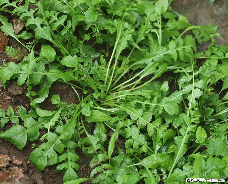 这些蔬菜是“天然钙片”，这6种被医生重点推荐 - 海北生活资讯 - 海北28生活网 haibei.28life.com