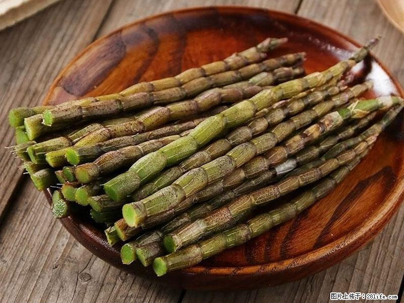 铁皮石斛的作用与功能主治 - 海北生活资讯 - 海北28生活网 haibei.28life.com