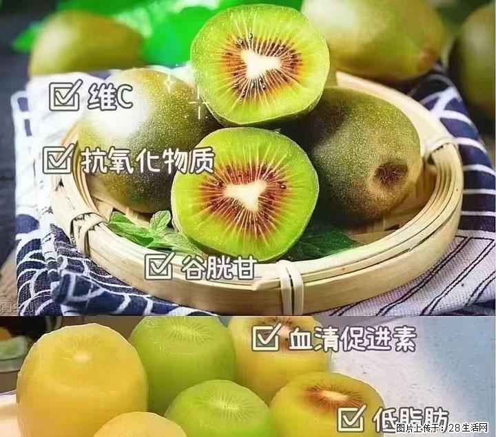 广西桂林平乐桥亭【红心猕猴桃】、【大秋甜柿】上市啦,欢迎各位新老客户下单(另有少量小果出售) - 海北生活资讯 - 海北28生活网 haibei.28life.com