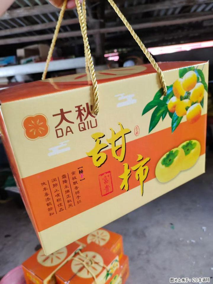 广西桂林平乐桥亭【红心猕猴桃】、【大秋甜柿】上市啦,欢迎各位新老客户下单(另有少量小果出售) - 海北生活资讯 - 海北28生活网 haibei.28life.com